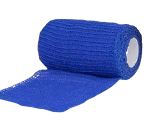 Bande Cohésive Bleue